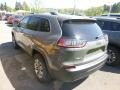 Sting-Gray - Cherokee Latitude Plus 4x4 Photo No. 3