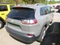 Sting-Gray - Cherokee Latitude Plus 4x4 Photo No. 5