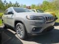 Sting-Gray - Cherokee Latitude Plus 4x4 Photo No. 7