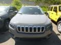 Sting-Gray - Cherokee Latitude Plus 4x4 Photo No. 8