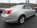 Champagne Silver Metallic - Malibu LT Photo No. 9