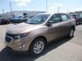 2019 Sandy Ridge Metallic Chevrolet Equinox LS  photo #1