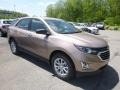 2019 Sandy Ridge Metallic Chevrolet Equinox LS  photo #8