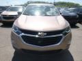 2019 Sandy Ridge Metallic Chevrolet Equinox LS  photo #9