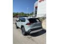 Lunar Rock - RAV4 Adventure AWD Photo No. 6