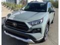 2019 Lunar Rock Toyota RAV4 Adventure AWD  photo #1