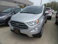 2019 Moondust Silver Metallic Ford EcoSport SE  photo #1