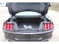 2019 Ford Mustang Ebony w/Miko Suede and Red Accent Stitching Interior Trunk Photo