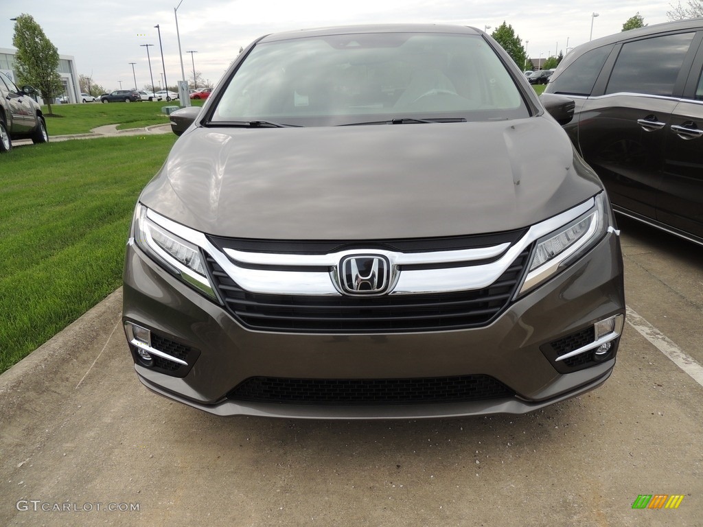 2019 Odyssey Elite - Pacific Pewter Metallic / Mocha photo #2