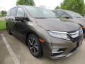 2019 Pacific Pewter Metallic Honda Odyssey Elite  photo #3