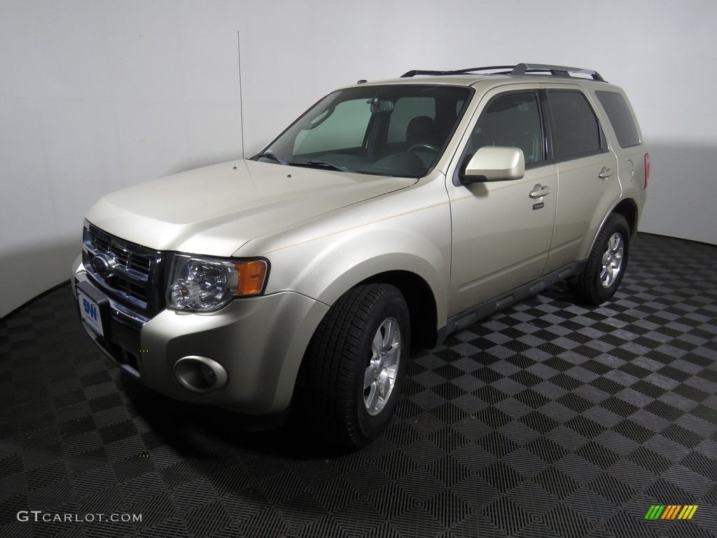 2012 Escape Limited V6 - Gold Leaf Metallic / Camel photo #8