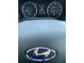Symphony Silver - Elantra Value Edition Photo No. 31