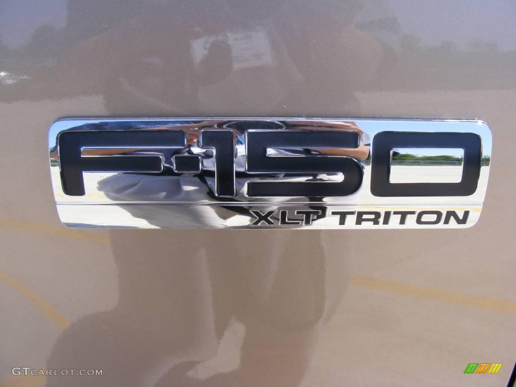 2006 F150 XLT SuperCrew - Arizona Beige Metallic / Tan photo #11