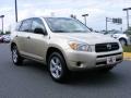 Savannah Metallic - RAV4 4WD Photo No. 2