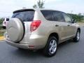 Savannah Metallic - RAV4 4WD Photo No. 3