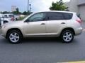 Savannah Metallic - RAV4 4WD Photo No. 17