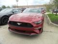 2019 Ruby Red Ford Mustang EcoBoost Fastback  photo #1