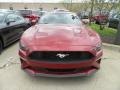 2019 Ruby Red Ford Mustang EcoBoost Fastback  photo #2