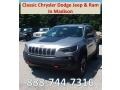 Billet Silver Metallic 2019 Jeep Cherokee Trailhawk 4x4
