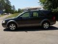 2007 Alloy Metallic Ford Freestyle SEL  photo #2