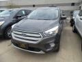 2019 Magnetic Ford Escape SE  photo #1