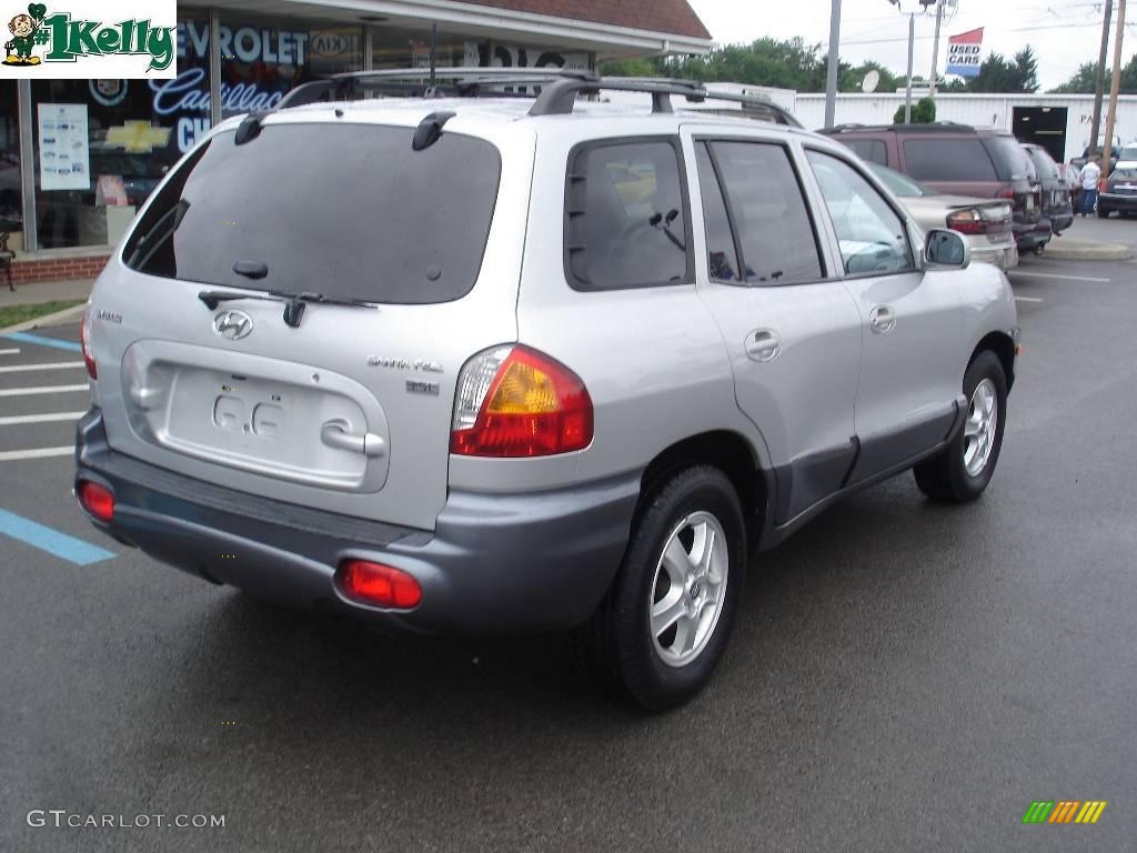 2004 Santa Fe LX - Pewter / Gray photo #2