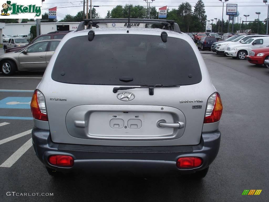 2004 Santa Fe LX - Pewter / Gray photo #3