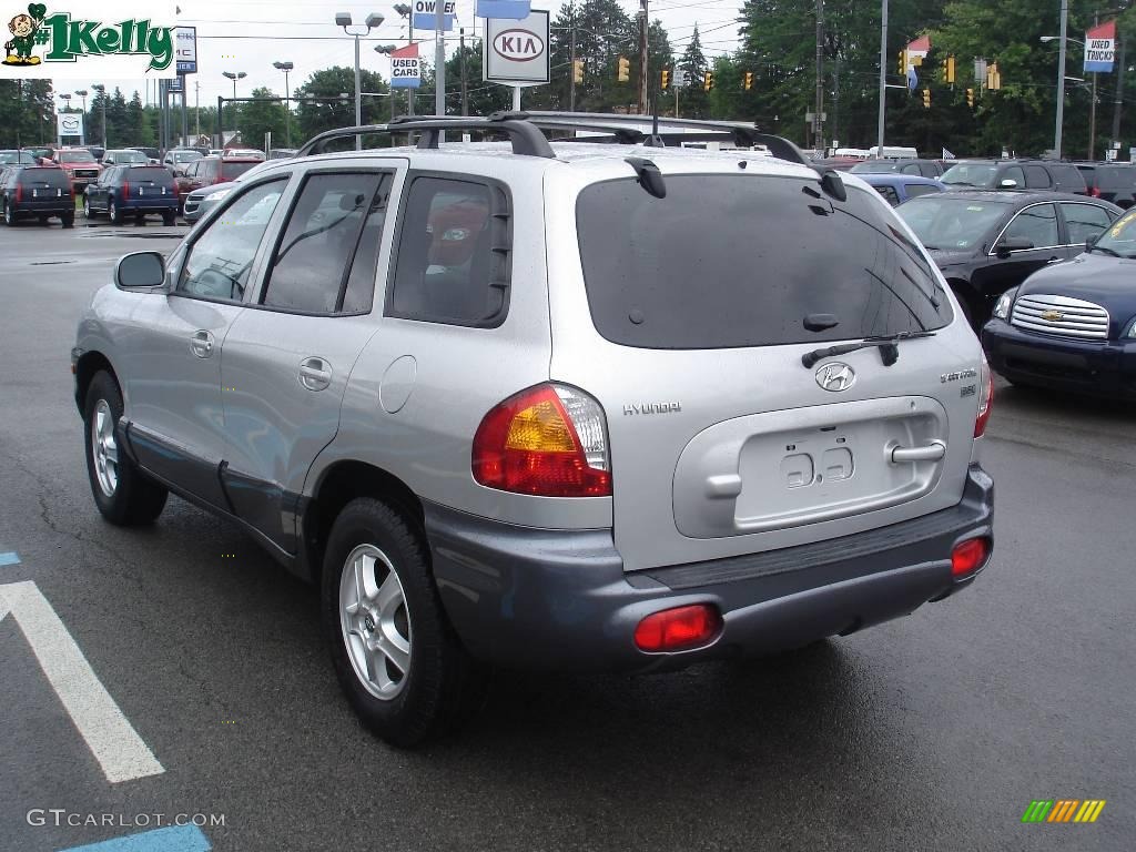 2004 Santa Fe LX - Pewter / Gray photo #4