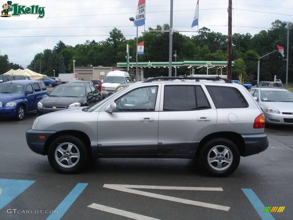 2004 Santa Fe LX - Pewter / Gray photo #5