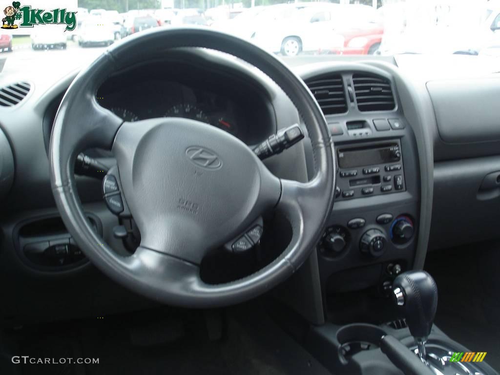 2004 Santa Fe LX - Pewter / Gray photo #10