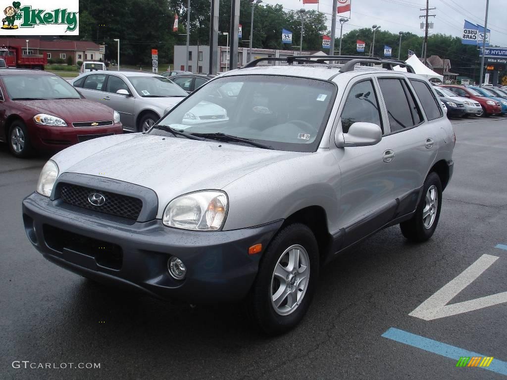 2004 Santa Fe LX - Pewter / Gray photo #13
