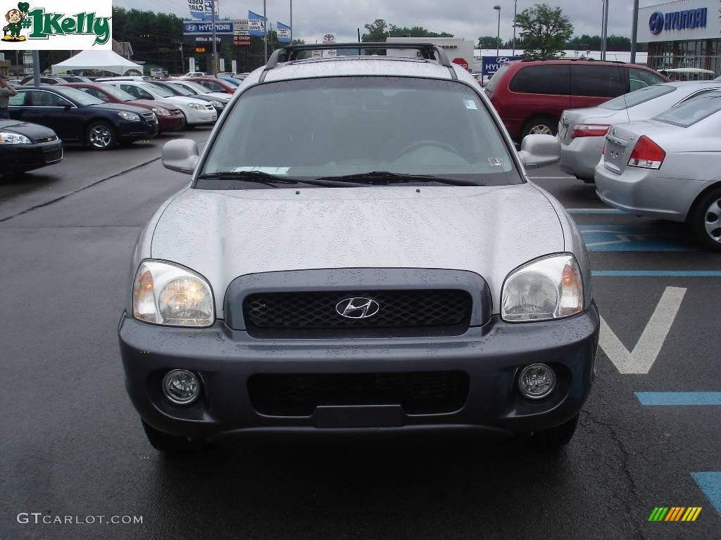 2004 Santa Fe LX - Pewter / Gray photo #14