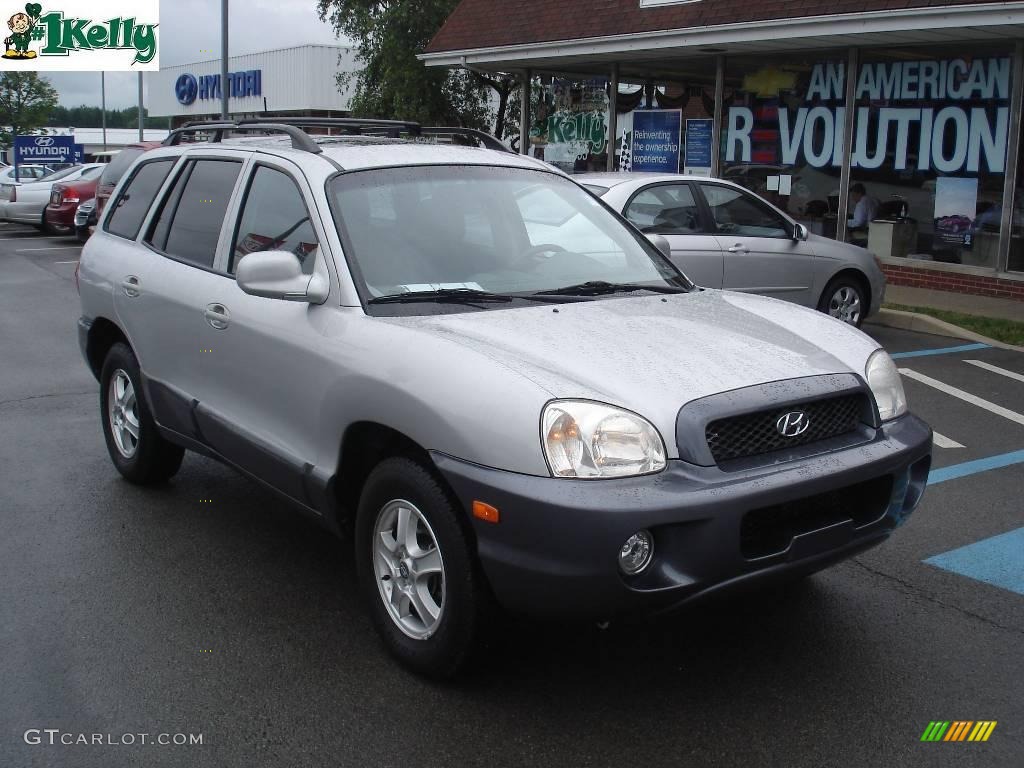 2004 Santa Fe LX - Pewter / Gray photo #15