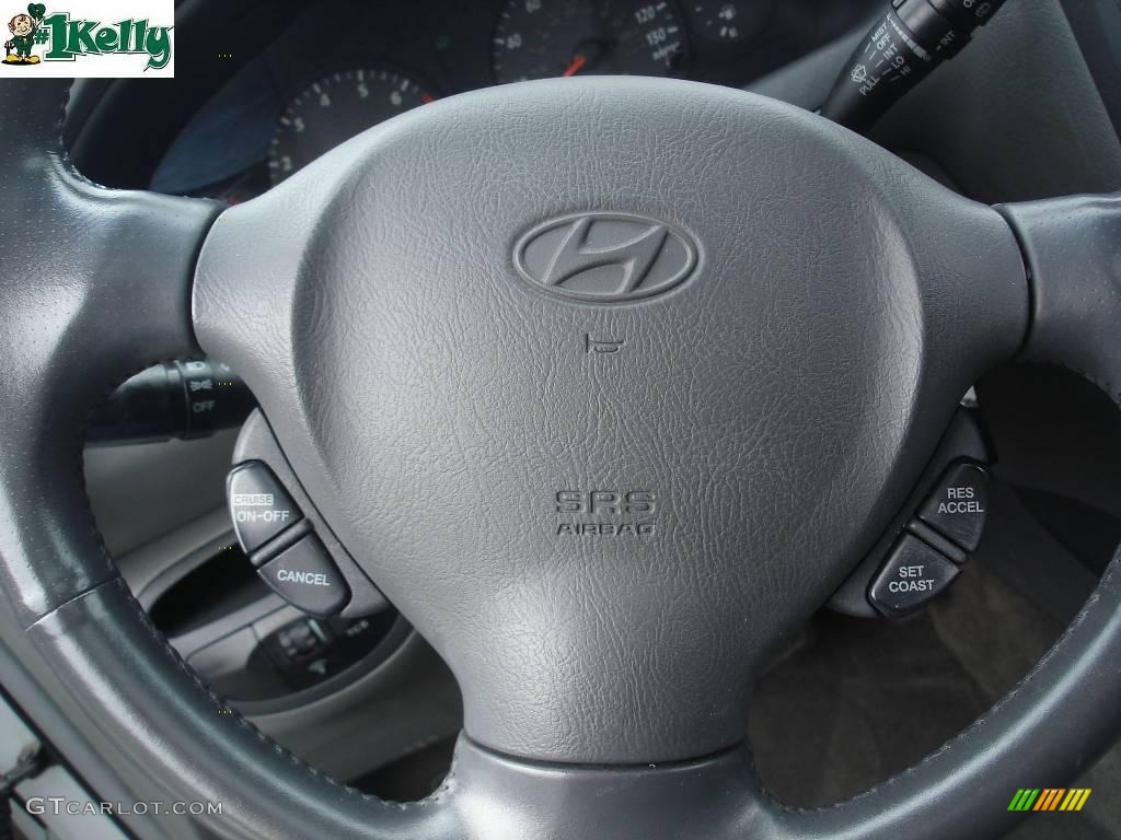 2004 Santa Fe LX - Pewter / Gray photo #19
