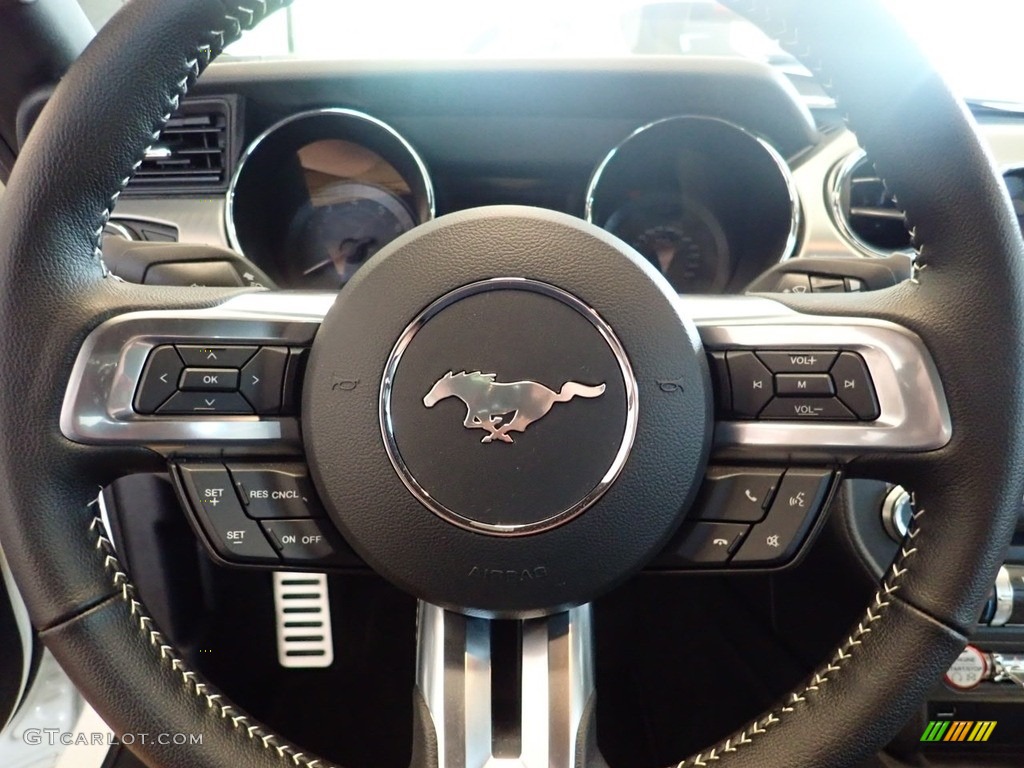 2015 Mustang 50th Anniversary GT Coupe - 50th Anniversary Wimbledon White / 50th Anniversary Cashmere photo #20