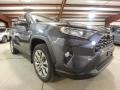 2019 Magnetic Gray Metallic Toyota RAV4 XLE AWD  photo #1