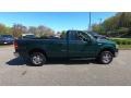 2007 Forest Green Metallic Ford F150 XLT Regular Cab 4x4  photo #10