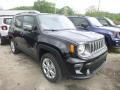 2019 Black Jeep Renegade Limited 4x4  photo #8