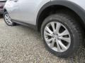 Classic Silver Metallic - RAV4 Limited AWD Photo No. 12