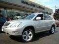 Millennium Silver Metallic - RX 350 AWD Photo No. 1