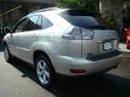 Millennium Silver Metallic - RX 350 AWD Photo No. 4