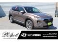 2019 Earthy Bronze Hyundai Santa Fe SEL Plus  photo #1