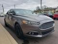 Sterling Gray - Fusion SE EcoBoost Photo No. 51