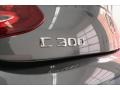 Selenite Grey Metallic - C 300 Coupe Photo No. 7