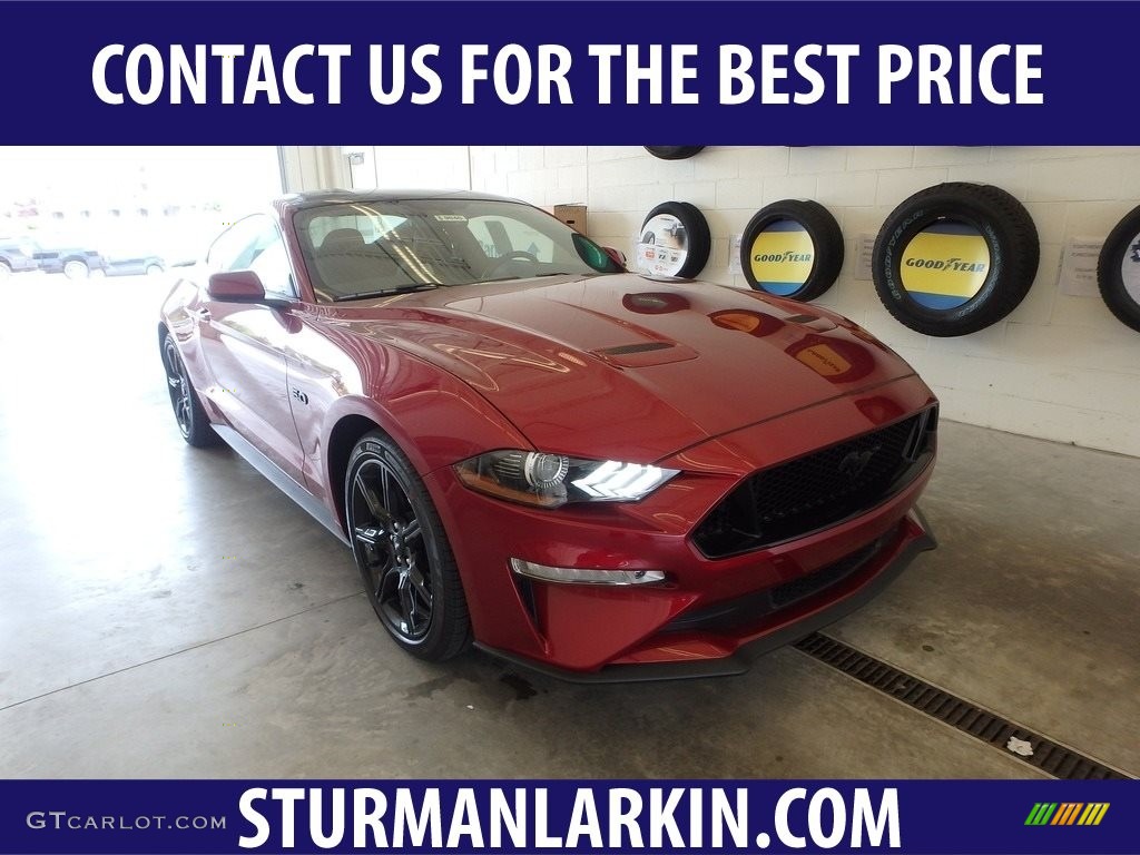 2019 Mustang GT Fastback - Ruby Red / Ebony photo #1