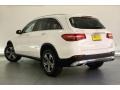 Polar White - GLC 300 Photo No. 2