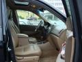 Nighthawk Black Pearl - MDX  Photo No. 20