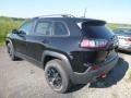  2019 Cherokee Trailhawk 4x4 Diamond Black Crystal Pearl