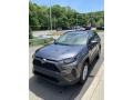 Magnetic Gray Metallic - RAV4 LE AWD Hybrid Photo No. 3