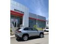 Silver Sky Metallic - RAV4 LE AWD Photo No. 7